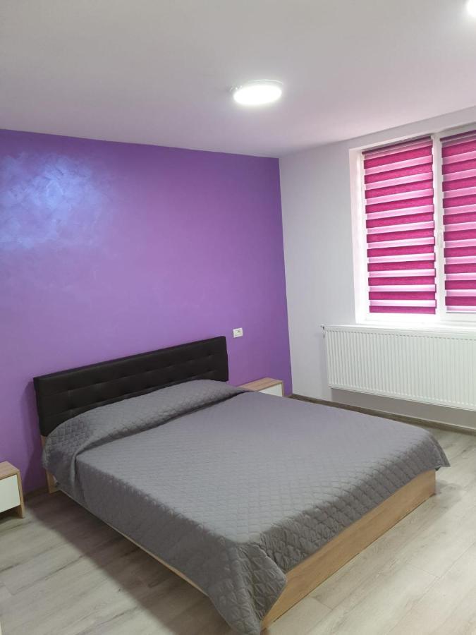 Apartament Negris Bîrlad Eksteriør bilde